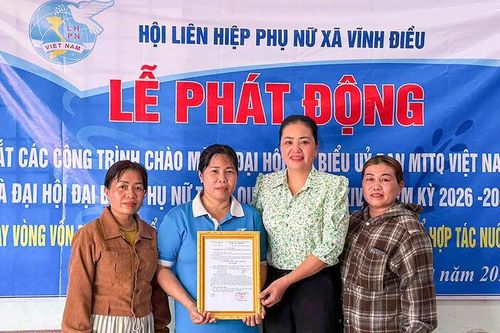 Góp vốn xoay vòng mua bảo hiểm y tế