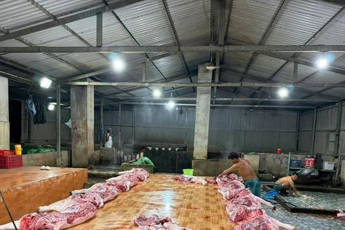 Công an tỉnh Đồng Tháp phát hiện 4 cơ sở giết mổ động vật trái phép trong đợt cao điểm