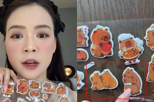Diễn viên Sam cảnh báo rủi ro từ đồ chơi Capybara: Nguy cơ trẻ học theo hành vi bạo lực