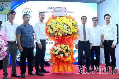 Ra mắt Hợp tác xã Sản xuất và thương mại dịch vụ Tam Đảo
