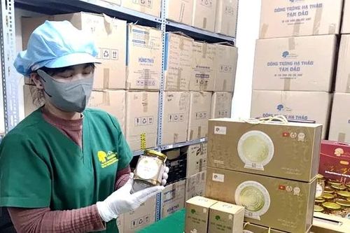 Gắn bảo vệ môi trường với phát triển sản phẩm OCOP