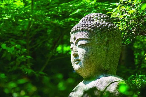 Đức Phật đản sanh: Thánh cách giác ngộ xuất hiện