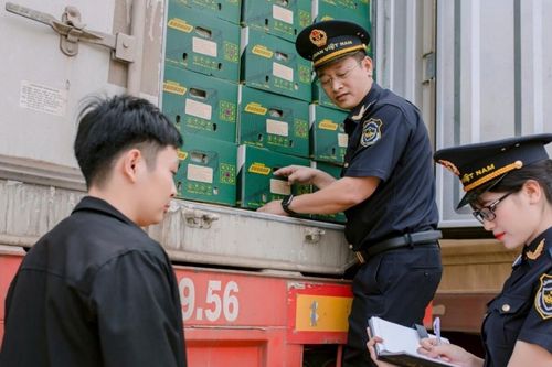 Kim ngạch xuất nhập khẩu qua Hải quan khu vực XIV vượt 2,7 tỷ USD sau gần 5 tháng