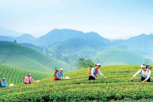 Thái Nguyên: Lấy văn hóa bản địa kiến tạo mũi nhọn kinh tế du lịch
