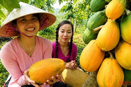 Từ ngày 7/6, nhiều mặt hàng xuất khẩu phải đáp ứng yêu cầu SPS mới