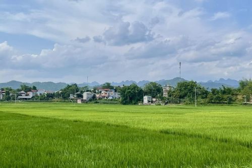 Thời tiết các khu vực trong tỉnh ngày 2/6 đêm không mưa, ngày trời nắng nóng
