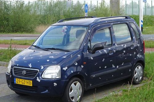 Xe ô tô Suzuki đời 2001 có dùng được xăng E10?