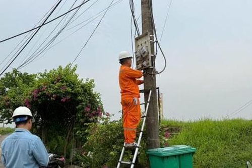Xã Hồng Vân: Cắt điện 9 trường hợp vi phạm tại bãi sông Hồng