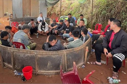 Phá địa điểm đá gà cá độ