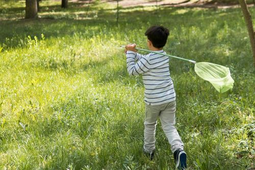 Gửi con về quê nghỉ hè, em út nổi trận lôi đình vì dòng tin nhắn của chị dâu