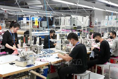 Chuyển đổi số để phục vụ công đoàn viên tốt hơn