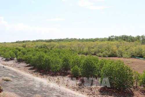 Gia Lai chuyển hơn 207 ha rừng phục vụ du lịch và thủy lợi