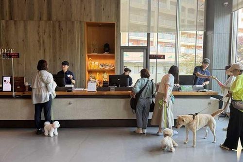 Thú cưng trở thành khách VIP của ngành du lịch Hàn Quốc