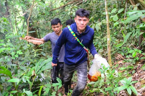 Theo chân thợ săn ong rừng giữa đại ngàn xứ Thanh