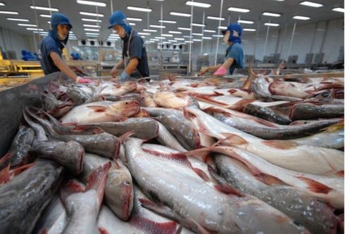 VietAgros 2026: Thúc đẩy chuyển đổi xanh và số hóa ngành thủy sản