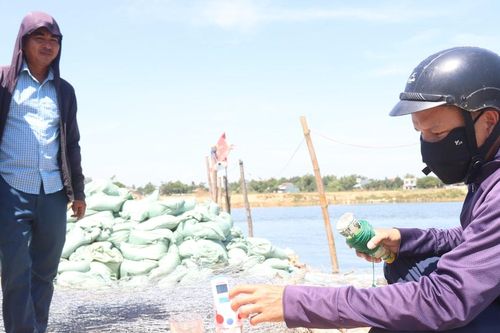Nỗ lực chống nhiễm mặn để bơm nước đổ ải