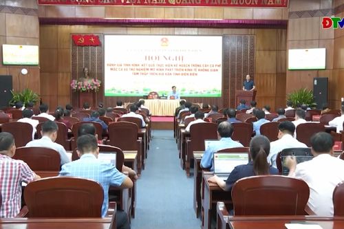 Hội nghị đánh giá tiến độ trồng mới cây cà phê, mắc ca