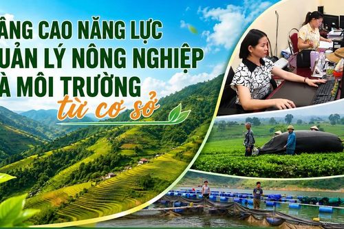Nâng cao năng lực quản lý nông nghiệp và môi trường từ cơ sở