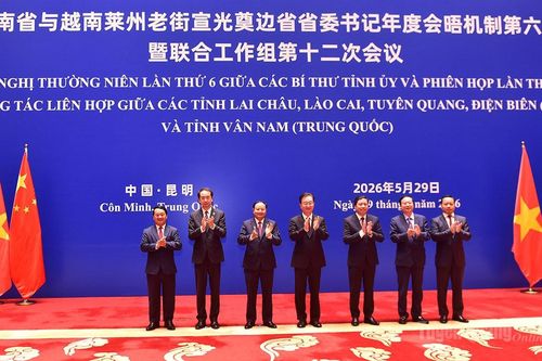 Mở ra triển vọng mới