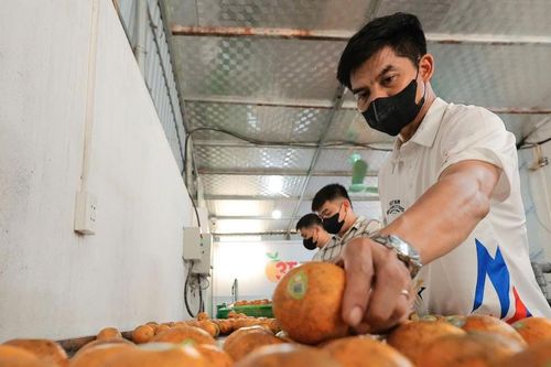 Sở hữu trí tuệ thành động lực phát triển bền vững của HTX