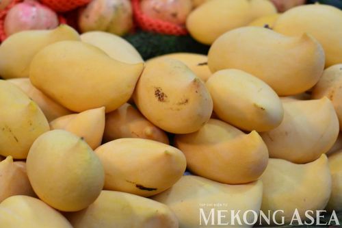 Tổ chức đoàn giao thương trái cây tại Quảng Tây, Trung Quốc vào giữa tháng 6