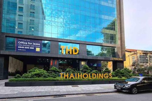Mã cổ phiếu THD tăng trần 5 phiên liên tiếp, Thaiholdings nói gì?