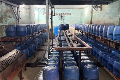 Khởi tố 4 bị can trong đường dây sản xuất giá đỗ dùng 'nước kẹo', tiêu thụ hơn 1.000 tấn