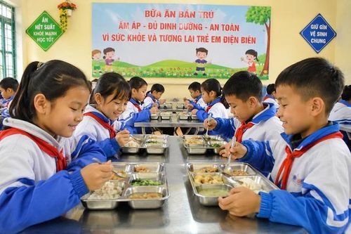 Phối hợp liên ngành tổ chức bữa ăn học đường tỉnh Điện Biên