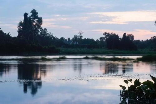 Trưng bày 'Chúng tôi, những dòng sông Nam Bộ' mở ra không gian đối thoại giữa con người và các dòng sông