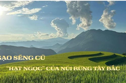 'Mùa vàng' Mường Than và câu chuyện OCOP của hạt gạo Séng Cù