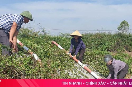 Bao giờ biển báo giao thông trên tuyến ĐH.38 được sửa chữa?