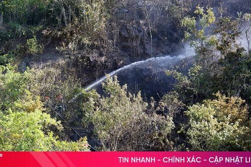 Nhanh chóng dập tắt lửa rừng ở Nghi Xuân