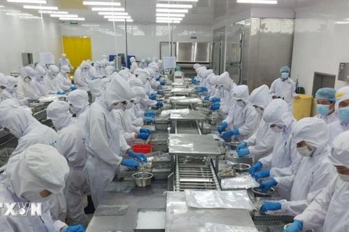 Thủy sản Việt Nam trước bài toán giữ thị phần ở thị trường Hoa Kỳ