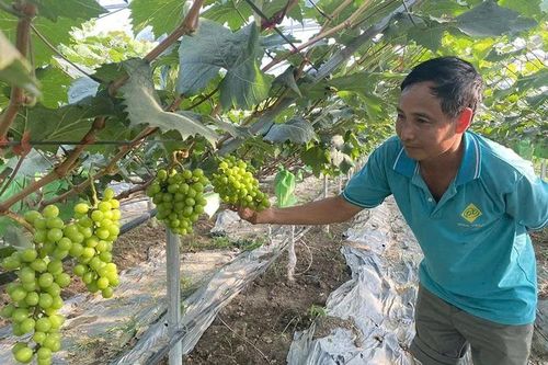Thiệu Hóa tạo 'cú hích' phát triển sản phẩm OCOP