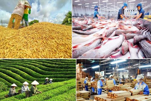 Sản xuất nông nghiệp duy trì đà tăng trưởng tích cực