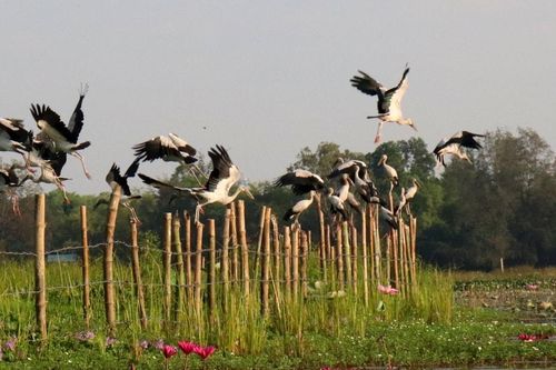 Thúc đẩy phát triển du lịch cộng đồng phía nam Đà Nẵng
