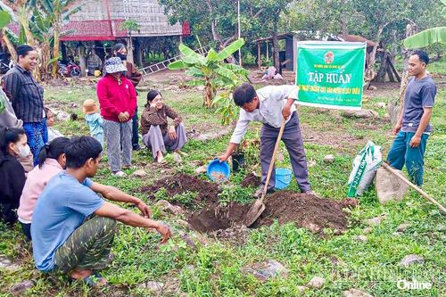 Đề án Tăng thu nhập trong diện tích đất vườn gắn với nhà ở: Thiết thực và hiệu quả