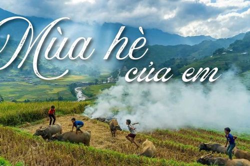 Mùa hè của em