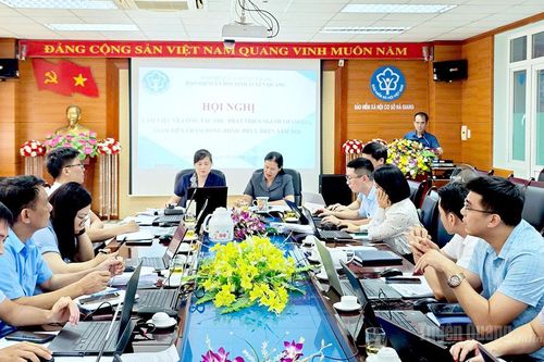 BHXH tỉnh tập trung các giải pháp phát triển người tham gia