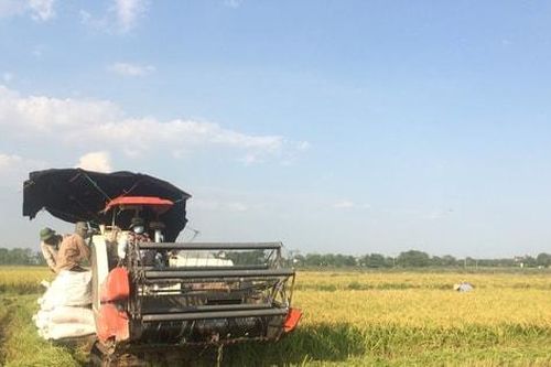 Cơ giới hóa sản xuất lúa - đòn bẩy nâng cao giá trị nông nghiệp Thủ đô