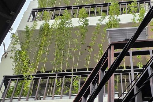Mẹo chống nóng cho nhà hướng Tây - 'lò nung' giữa mùa hè, giúp giảm nhiệt và tiết kiệm điện đáng kể