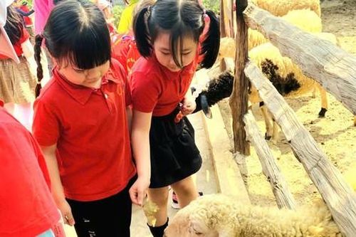 Nghỉ hè, phụ huynh Hà Nội tốn tiền triệu để 'giữ chân' con