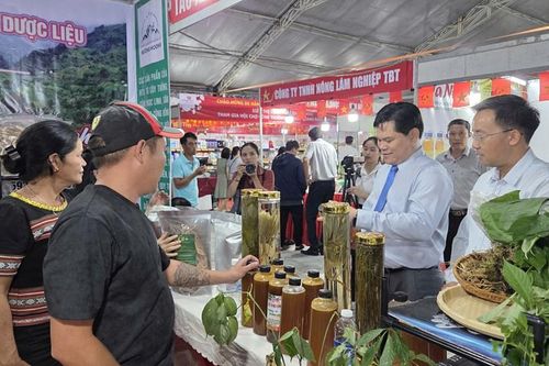 Phát triển OCOP gắn với du lịch nông thôn và chuyển đổi số