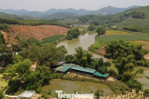 Bẫy bao tiêu sau những lời quảng cáo nuôi con đặc sản