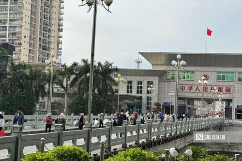 Quảng Ninh: Hải quan khu vực VIII thu ngân sách đạt gần 7.500 tỷ đồng