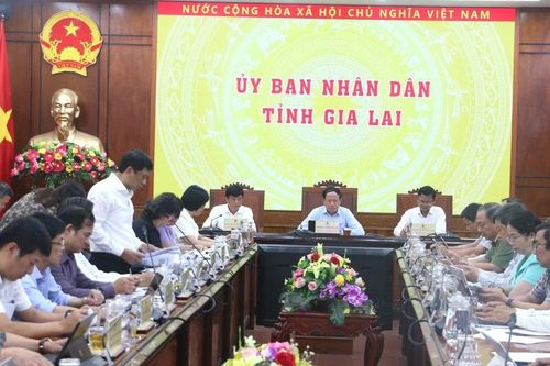 Gia Lai: Tổng thu ngân sách 5 tháng tăng hơn 38% so với cùng kỳ năm 2025