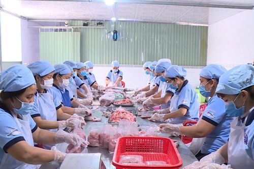 HTX bắt đầu quan tâm đến bằng sáng chế