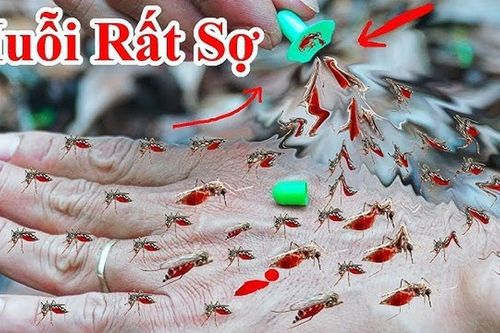 10 cách đuổi muỗi vào mùa hè cực đơn giản, nhà sạch bóng không tiếng vo ve