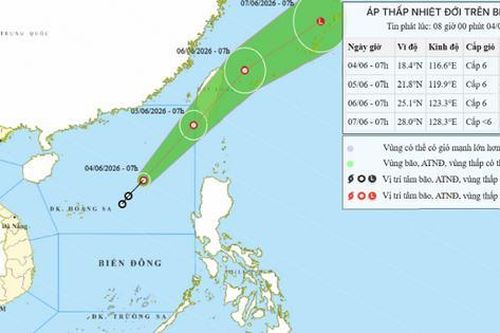 14 tỉnh, thành phố ven biển chủ động ứng phó áp thấp nhiệt đới