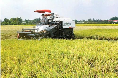 Hợp tác xã Phú Nghĩa 'tiếp sức' cho nông dân trong sản xuất nông nghiệp